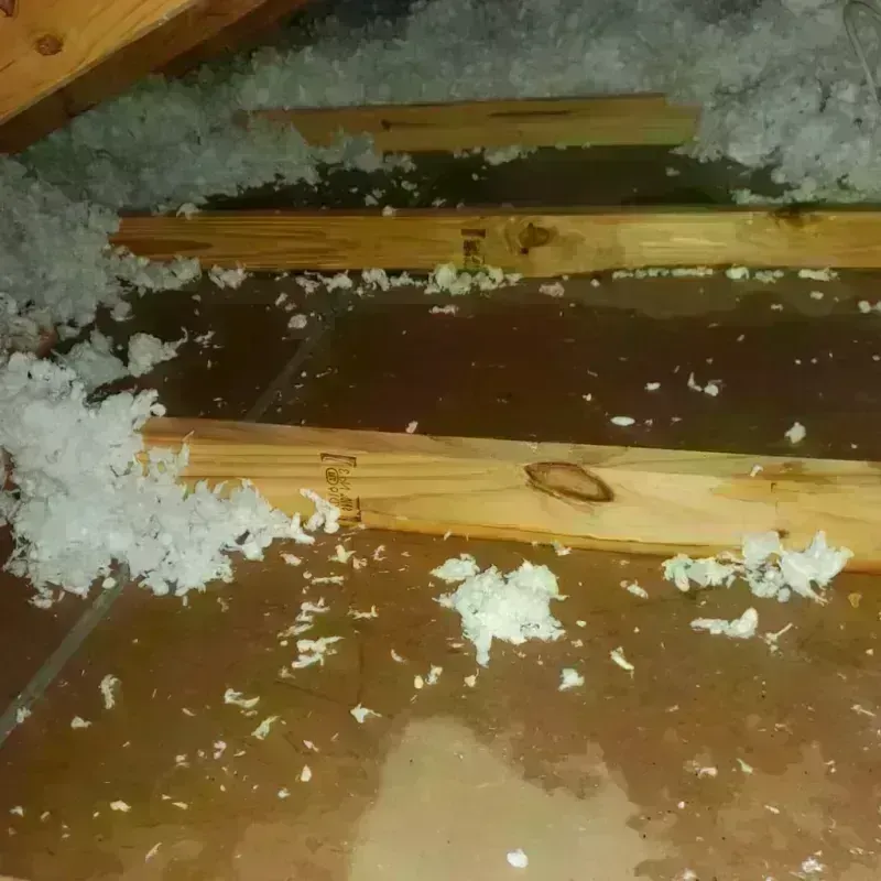 Attic Water Damage in Gothenburg, NE