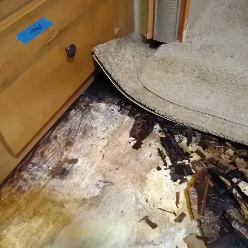 Best Wood Floor Water Damage Service in Gothenburg, NE